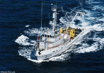 BSR Gazelle de la classe Chamois © Marine Nationale